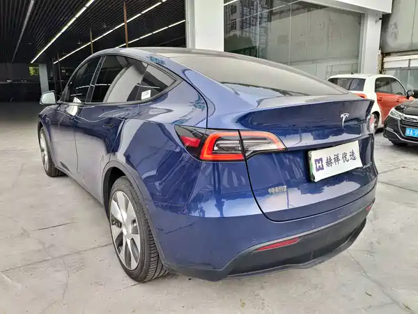 Tesla Model Y 2022, фото 13