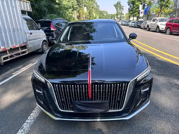 Hongqi H5 2024, фото 2