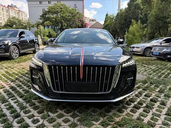Hongqi H5 2024, фото 2