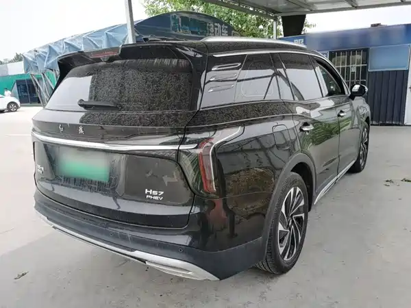 Hongqi HS7 PHEV 2024, фото 7