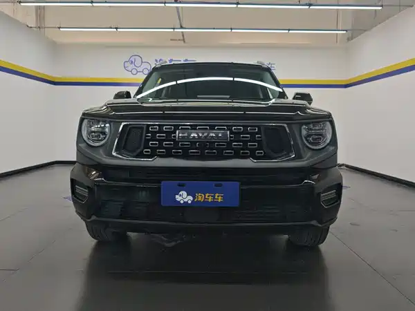 Haval Dargo II 2023, фото 2