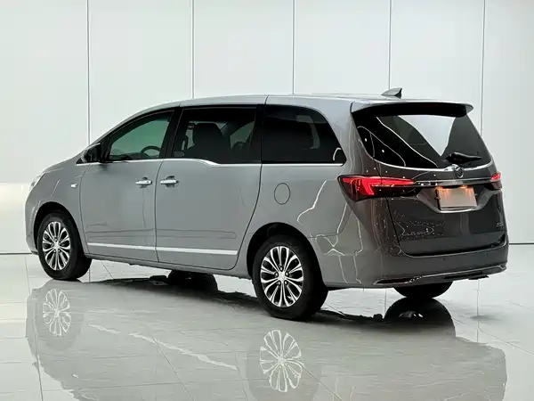 Buick GL8 2022, фото 12
