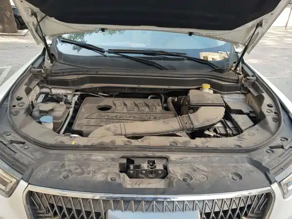 Haval H6 2021, фото 10