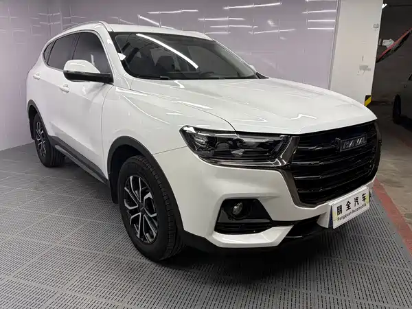 Haval H6 2021, фото 3
