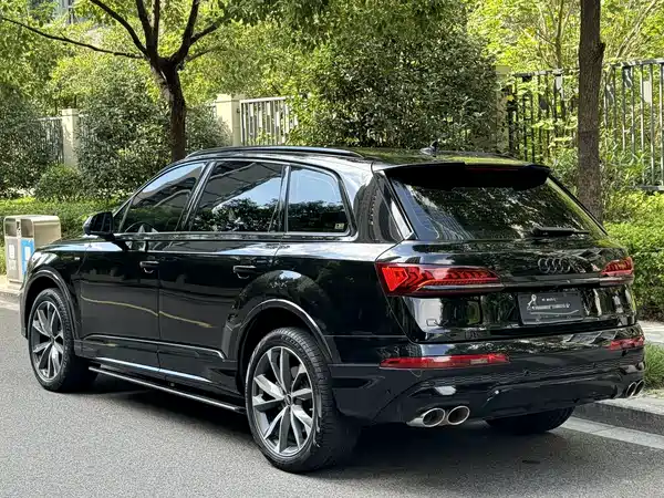 Audi Q7 2022, фото 4