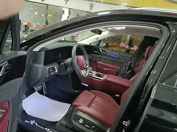 Hongqi E-HS9 2022, фото 16