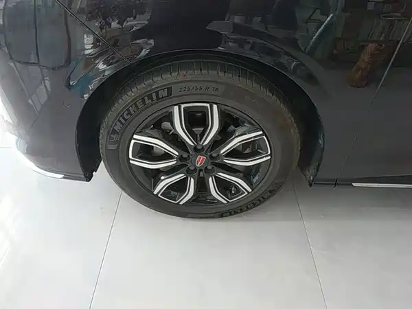 Hongqi HQ9 2023, фото 23