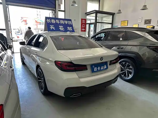BMW 5 Series 2022, фото 12