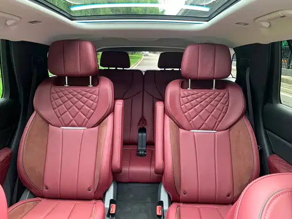 Hongqi E-HS9 2022, фото 15