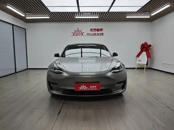 Tesla Model 3 2022, фото 3