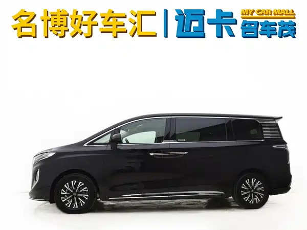 Hongqi HQ9 PHEV 2024, фото 5
