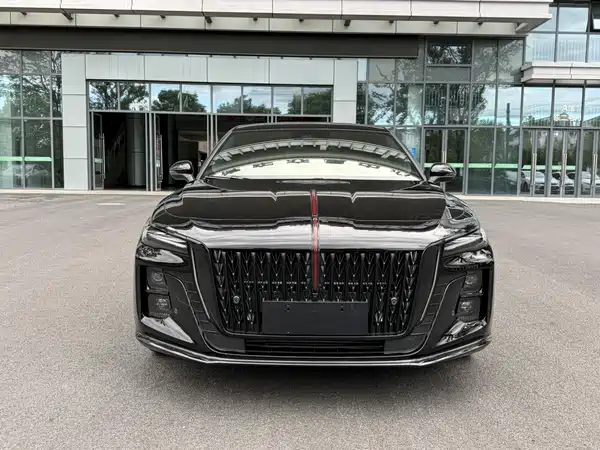 Hongqi H5 2025, фото 3