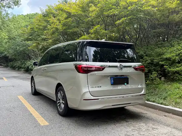 Buick GL8 2023, фото 16