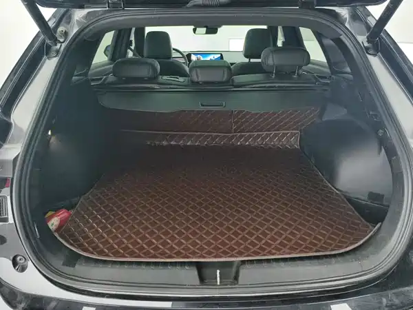 Haval Shenshou 2022, фото 4