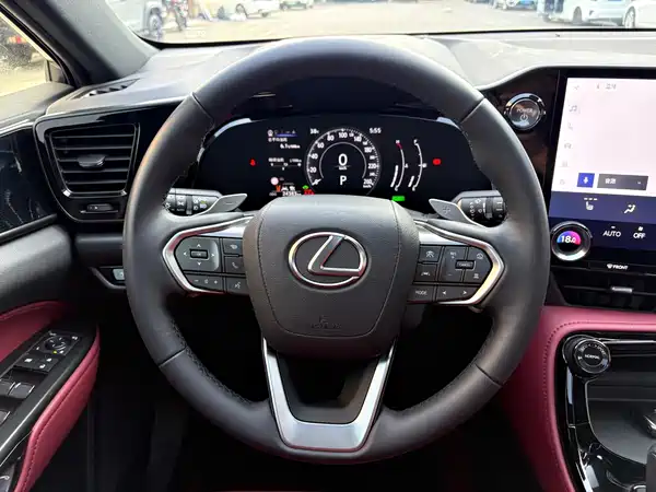 Lexus NX 2023, фото 16