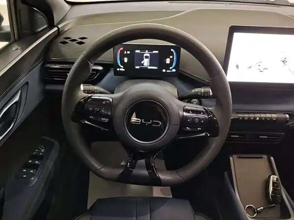 BYD Seagull 2024, фото 10