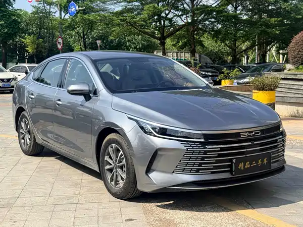 BYD Destroyer 05 2024, фото 3
