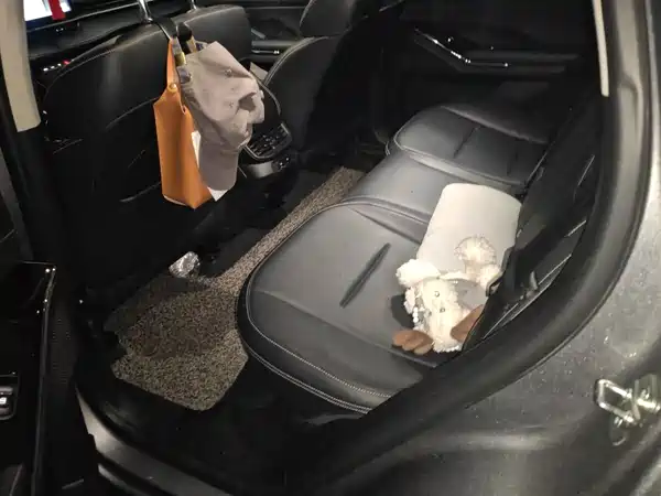 Haval H6 2021, фото 11