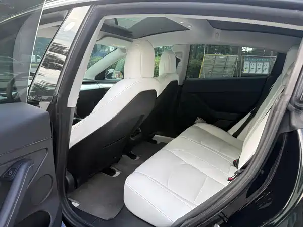 Tesla Model 3 2022, фото 5