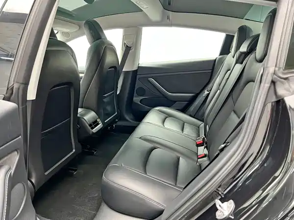 Tesla Model 3 2022, фото 16