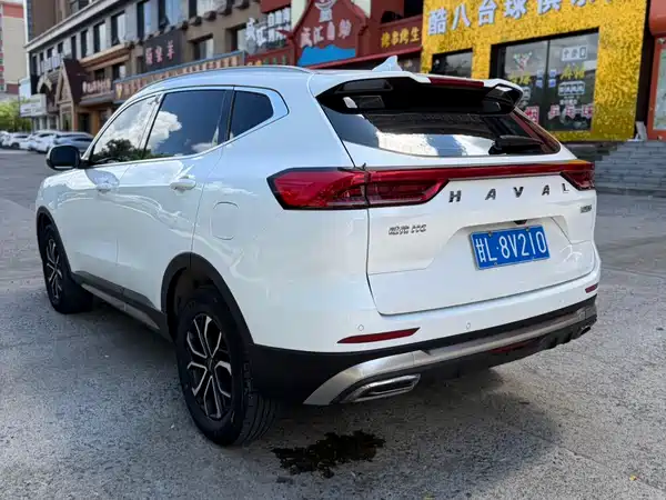 Haval H6 2023, фото 4