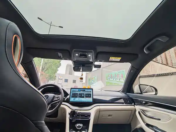 BYD Song PLUS EV 2021, фото 6