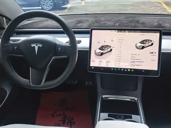 Tesla Model 3 2022, фото 13
