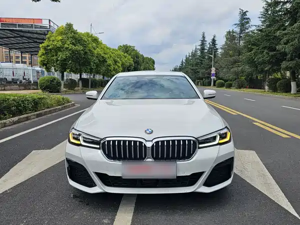 BMW 5 Series PHEV 2022, фото 11