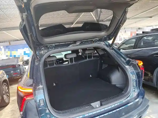 Haval Shenshou 2023, фото 19