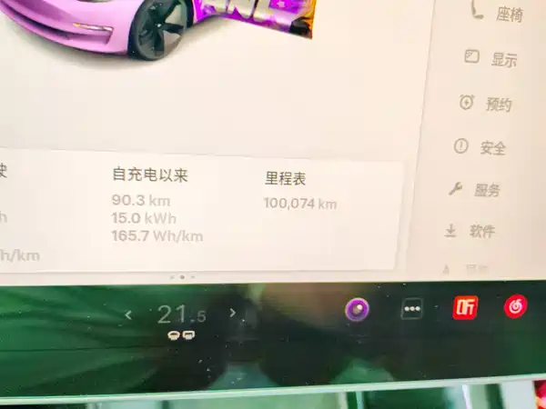 Tesla Model 3 2021, фото 4