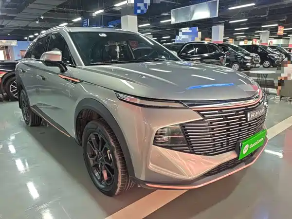 Haval Shenshou 2022, фото 3