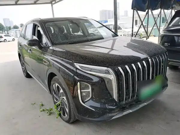Hongqi HS7 PHEV 2024, фото 4