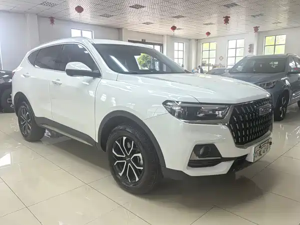 Haval H6 2023, фото 3