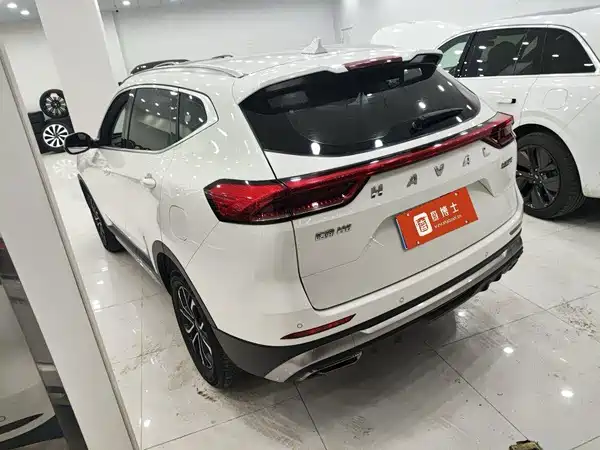 Haval H6 2021, фото 8