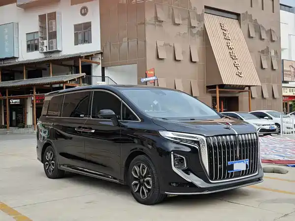 Hongqi HQ9 2023, фото 3