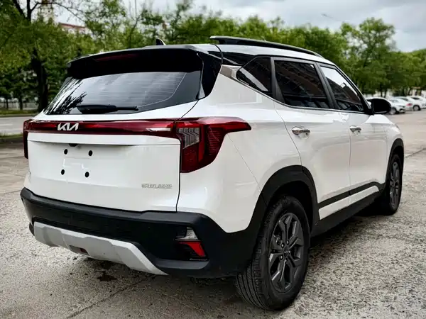 Kia Seltos 2023, фото 6