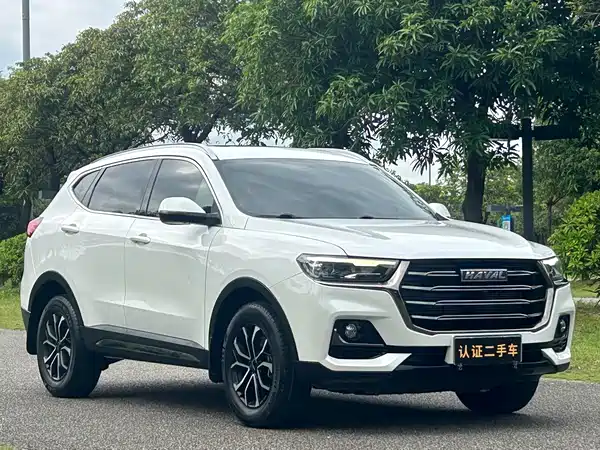 Haval H6 2021, фото 3