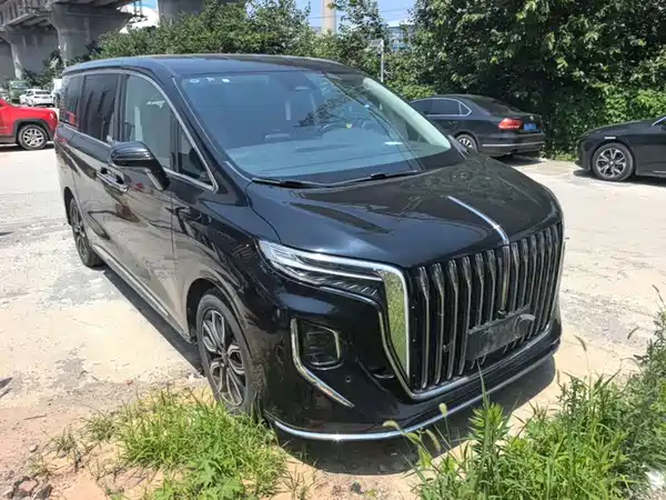 Hongqi HQ9 2023, фото 22