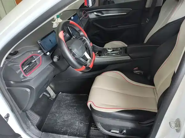 BYD Destroyer 05 2022, фото 14