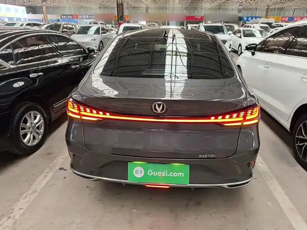 Changan Ruicheng PLUS 2023, фото 5