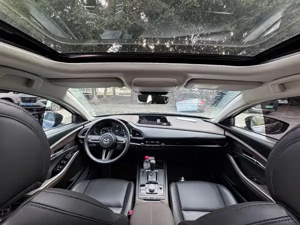 Mazda CX-30 2021, фото 19