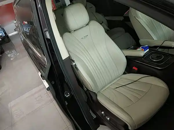 Hongqi HQ9 2023, фото 25