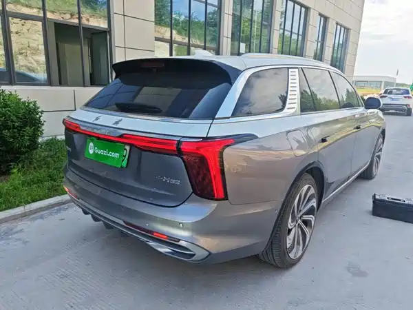 Hongqi E-HS9 2022, фото 7
