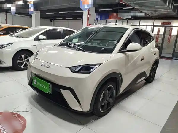 BYD Seagull 2023