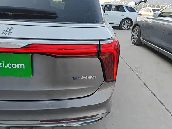 Hongqi E-HS9 2022, фото 8