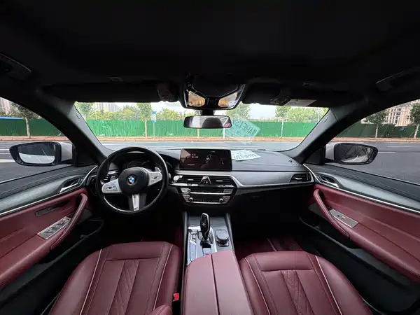 BMW 5 Series 2022, фото 11