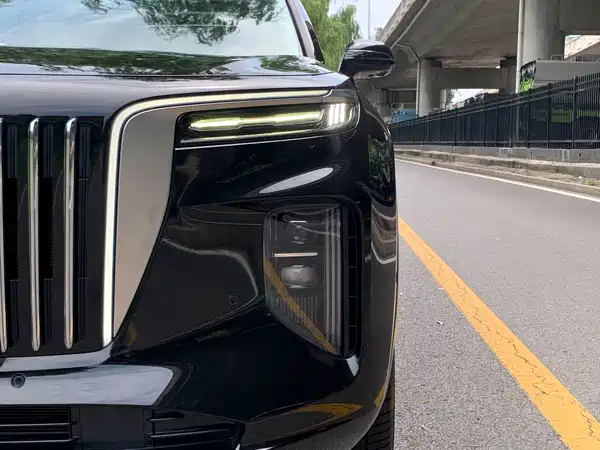 Hongqi E-HS9 2022, фото 16