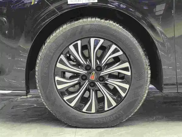 Hongqi HQ9 PHEV 2024, фото 4