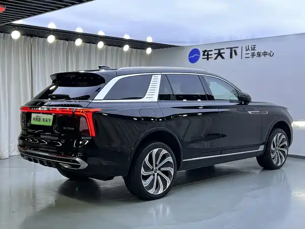 Hongqi E-HS9 2022, фото 5