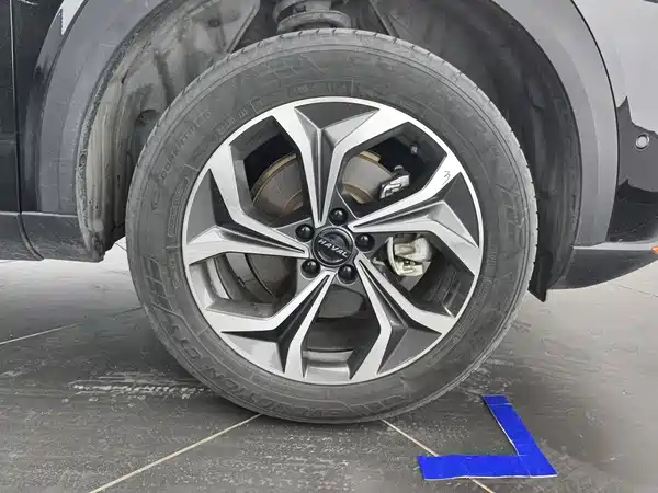 Haval Shenshou 2022, фото 6